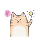 Calm Meow（個別スタンプ：8）