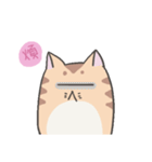 Calm Meow（個別スタンプ：31）