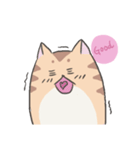 Calm Meow（個別スタンプ：35）