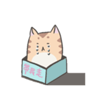 Calm Meow（個別スタンプ：40）