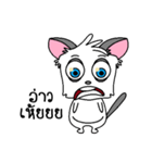 SweetSaiChi（個別スタンプ：1）