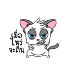 SweetSaiChi（個別スタンプ：14）