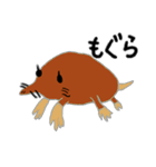 かっこいい動物たちのスタンプ（個別スタンプ：38）