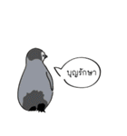 Sorry, we're straightforward（個別スタンプ：3）
