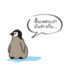 Sorry, we're straightforward（個別スタンプ：5）