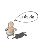 Sorry, we're straightforward（個別スタンプ：8）