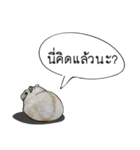 Sorry, we're straightforward（個別スタンプ：14）