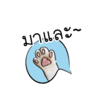 Sorry, we're straightforward（個別スタンプ：15）