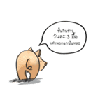 Sorry, we're straightforward（個別スタンプ：16）
