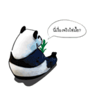 Sorry, we're straightforward（個別スタンプ：19）