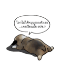 Sorry, we're straightforward（個別スタンプ：25）