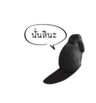 Sorry, we're straightforward（個別スタンプ：28）