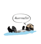 Sorry, we're straightforward（個別スタンプ：29）