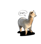 Sorry, we're straightforward（個別スタンプ：32）