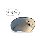 Sorry, we're straightforward（個別スタンプ：35）