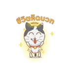 THONG-KON（個別スタンプ：14）