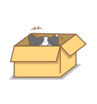 THONG-KON（個別スタンプ：33）