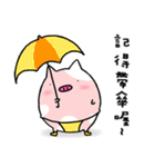 LIFE OF CHUNKUEI PIG (2)（個別スタンプ：40）