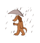 ブラウニー犬（個別スタンプ：1）
