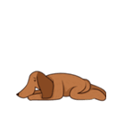 ブラウニー犬（個別スタンプ：10）