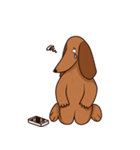 ブラウニー犬（個別スタンプ：25）