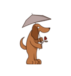 ブラウニー犬（個別スタンプ：40）