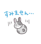 ぼやっとうさぎ（個別スタンプ：5）