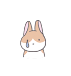 ぼやっとうさぎ（個別スタンプ：25）