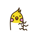 A Finger Parrot（個別スタンプ：5）