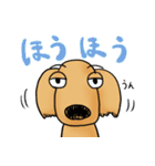 "Busakawa" dog, a Dachshund feelings（個別スタンプ：7）