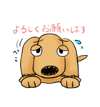 "Busakawa" dog, a Dachshund feelings（個別スタンプ：11）