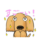 "Busakawa" dog, a Dachshund feelings（個別スタンプ：14）