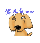 "Busakawa" dog, a Dachshund feelings（個別スタンプ：16）