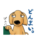 "Busakawa" dog, a Dachshund feelings（個別スタンプ：17）