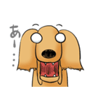 "Busakawa" dog, a Dachshund feelings（個別スタンプ：21）