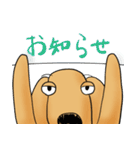 "Busakawa" dog, a Dachshund feelings（個別スタンプ：31）