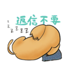 "Busakawa" dog, a Dachshund feelings（個別スタンプ：34）