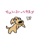 "Busakawa" dog, a Dachshund feelings（個別スタンプ：37）