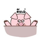 Pig And Meow（個別スタンプ：9）