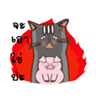 Pig And Meow（個別スタンプ：31）