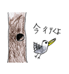 鳥スタンプ（個別スタンプ：9）