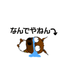 アユちゃんのスタンプ3（個別スタンプ：18）