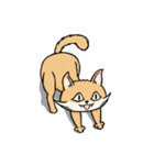 Cats balls everyday（個別スタンプ：13）