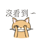 Cats balls everyday（個別スタンプ：27）