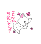 チワワのちーちゃん【犬】（個別スタンプ：15）