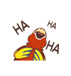 Scarlet Macaw（個別スタンプ：12）