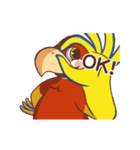 Scarlet Macaw（個別スタンプ：22）