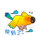 Daily lives of little fly（個別スタンプ：17）