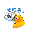 Daily lives of little fly（個別スタンプ：21）