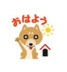 柴犬☆らっきー（個別スタンプ：1）